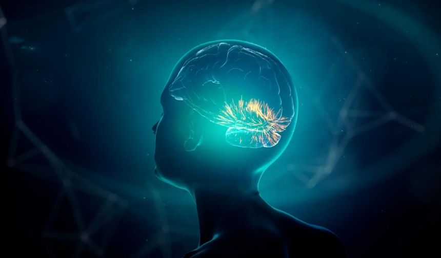 Erkek beyni daha hızlı yaşlanıyor: Peki neden Alzheimer kadınlarda daha yaygın?