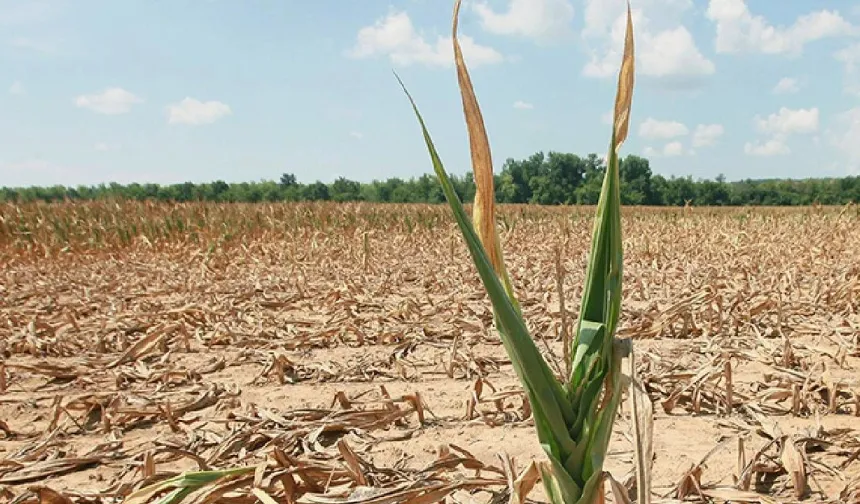 Güney Kıbrıs’taki barajlarda su seviyesi kritik düzeyde