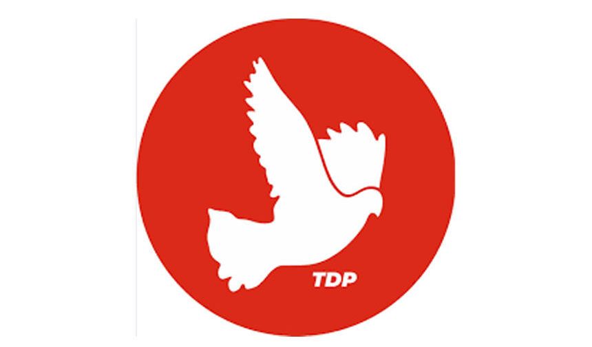 TDP: Annelerin yükü büyüyor, sosyal devlet susuyor