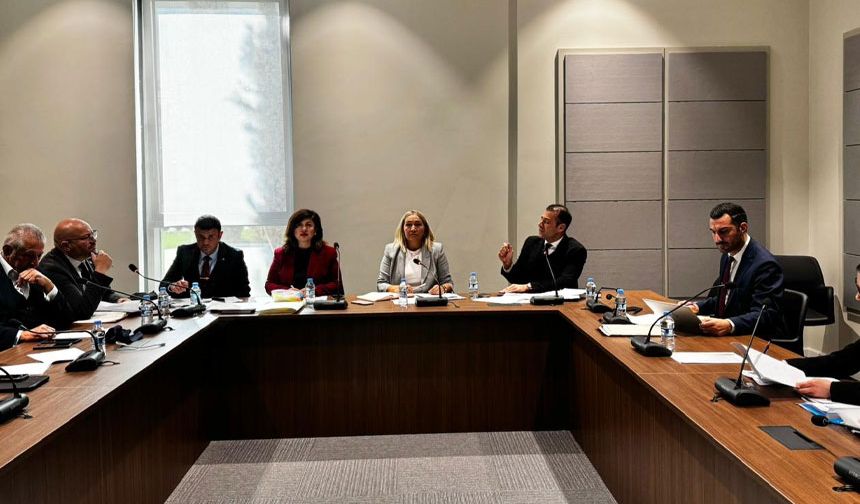 Hukuk, Siyasi İşler, Dışilişkiler ve Savunma Komitesi, Mahkemeler (Değişiklik) Yasa Tasarısı’nı ele aldı