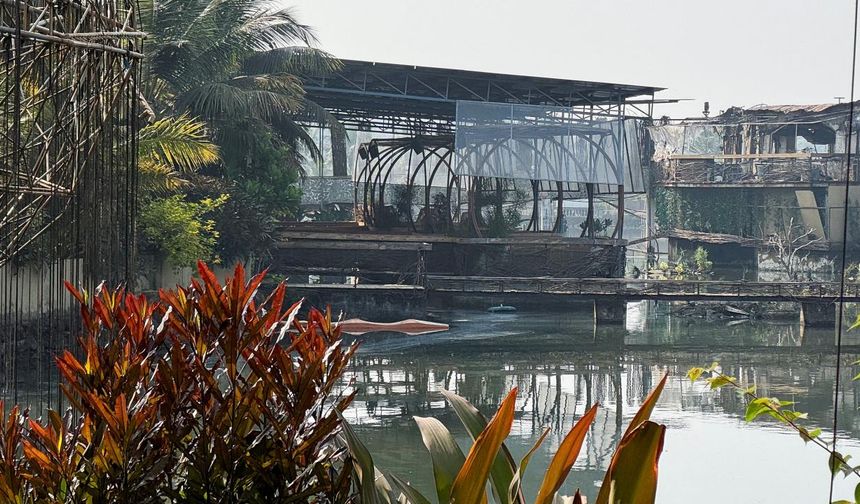 Hindistan'da gece kulübünde yangın: En az 25 ölü