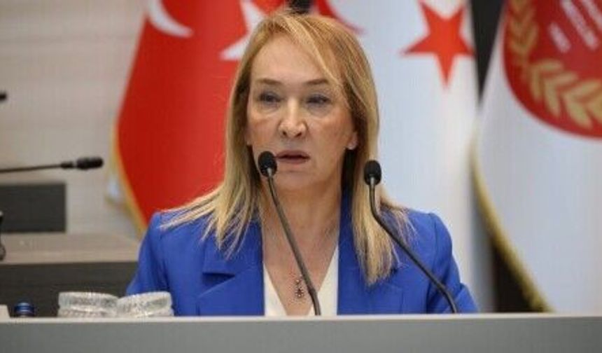 Filiz Besim: Ülkede çok rahat hastabakıcı yetiştirebiliriz