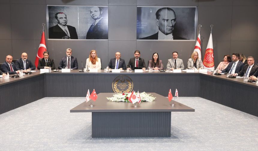 TBMM ve KKTC AB Komiteleri KKTC’de toplandı