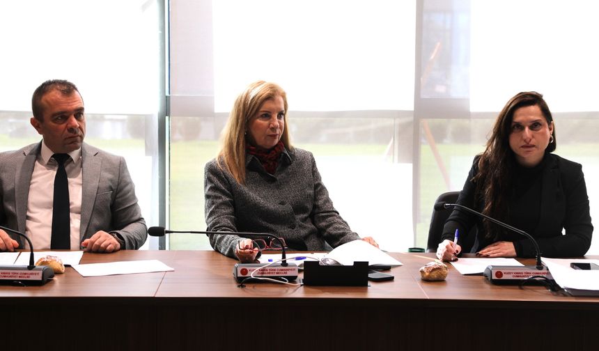 Ekonomi, Maliye, Bütçe ve Plan Komitesi toplandı