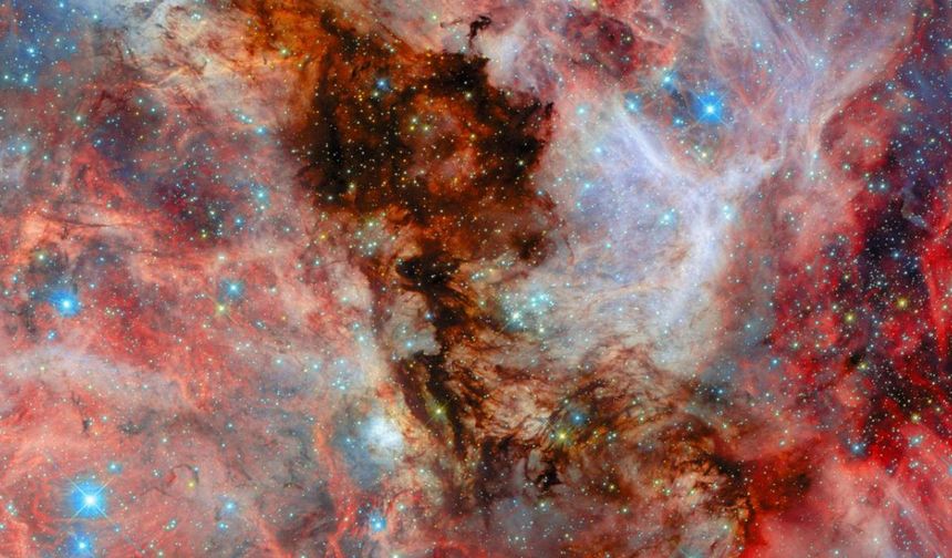Hubble, komşu galaksideki bebek yıldızları görüntüledi