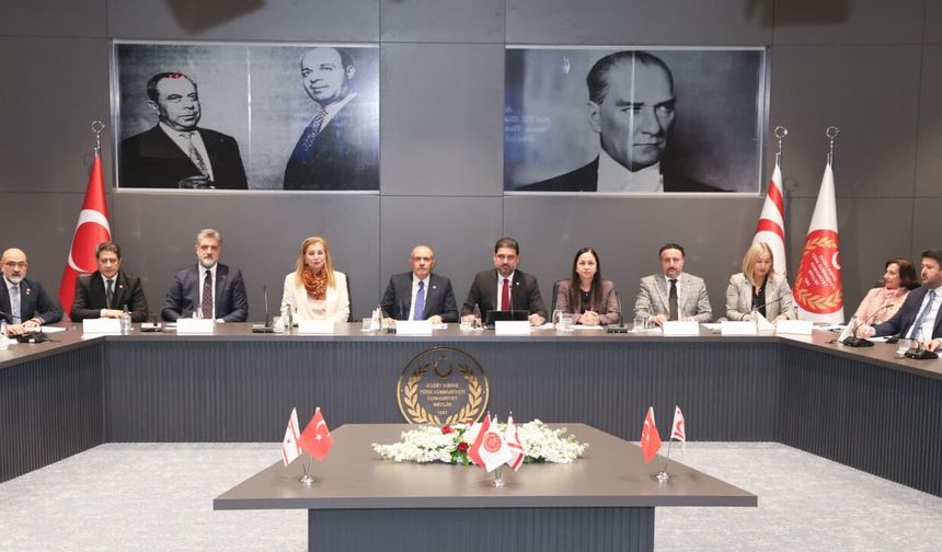 TBMM ve Cumhuriyet Meclisi AB Komiteleri KKTC’de Toplandı