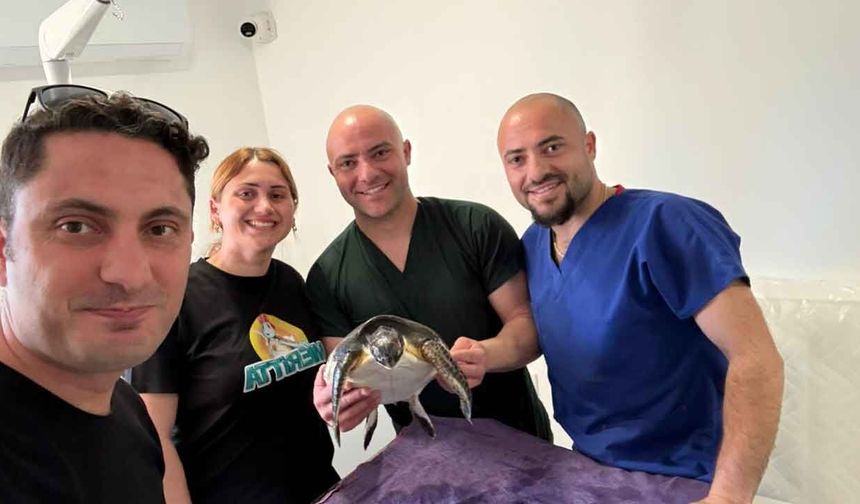 Yaralı Deniz Kaplumbağası Meritta ile Hayata Tutundu