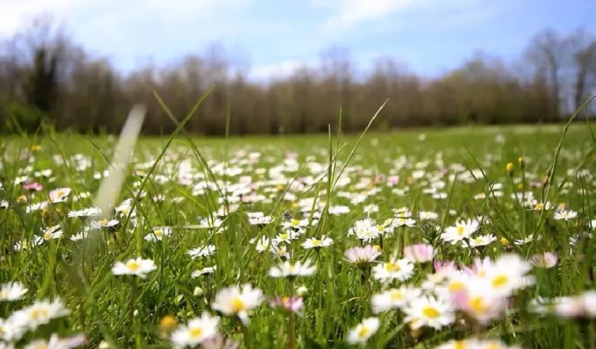 Son cemre toprakla buluştu