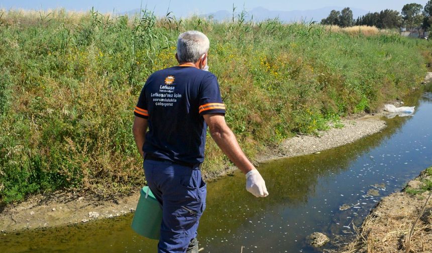LTB, 7 Ekiple sivrisinekle etkin ve biyolojik mücadeleyi sürdürüyor