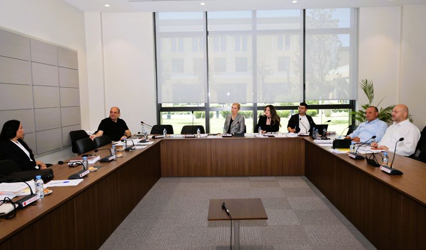 Ekonomi, Maliye, Bütçe ve Plan Komitesi üç yasa tasarısını görüştü
