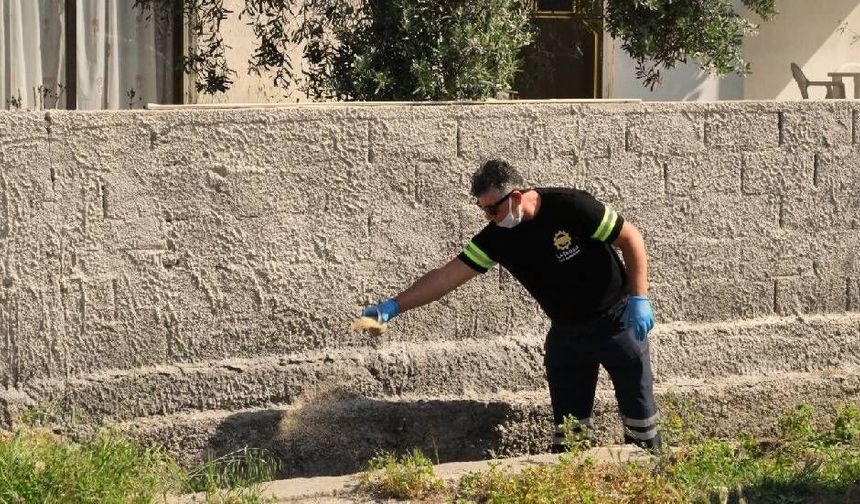 LTB, 7 ekiple sivrisinekle etkin ve biyolojik mücadeleyi sürdürüyor