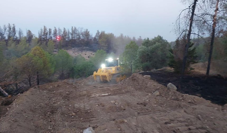 Serdarlı'daki yangında 30 dönüm zarar gördü