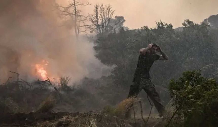 Yunanistan'ın Tesalya bölgesinde orman yangını çıktı
