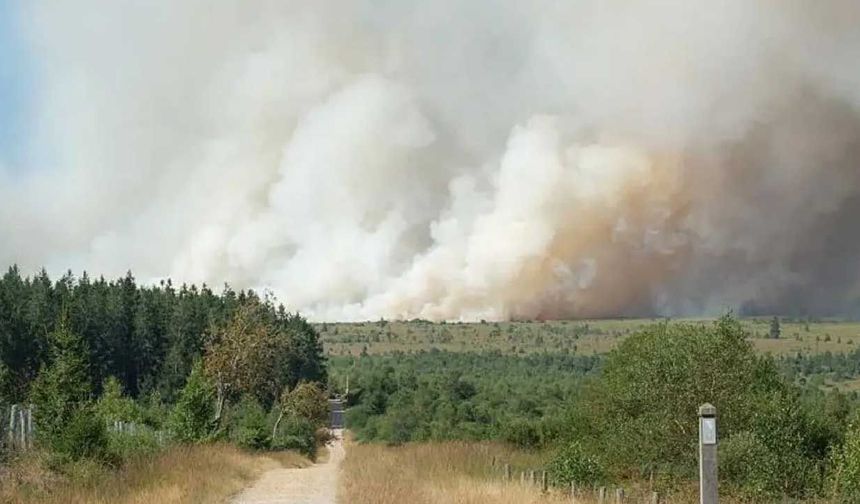 Belçika'daki orman yangını 5. gününde sürüyor