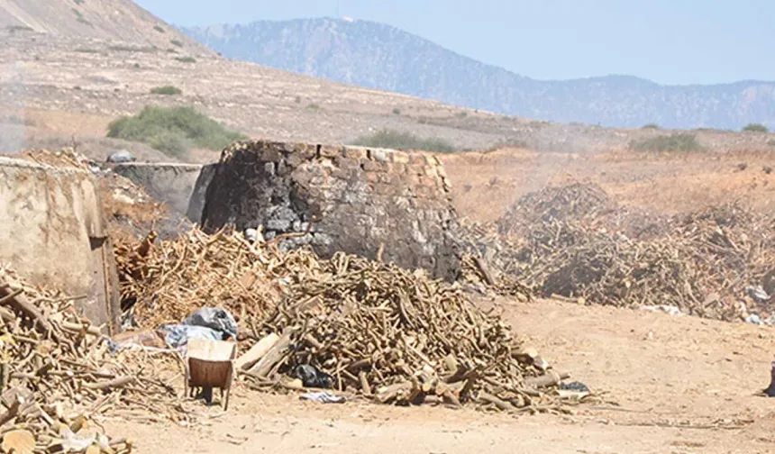 Yayla'da izinsiz kömür ocağına suçüstü!