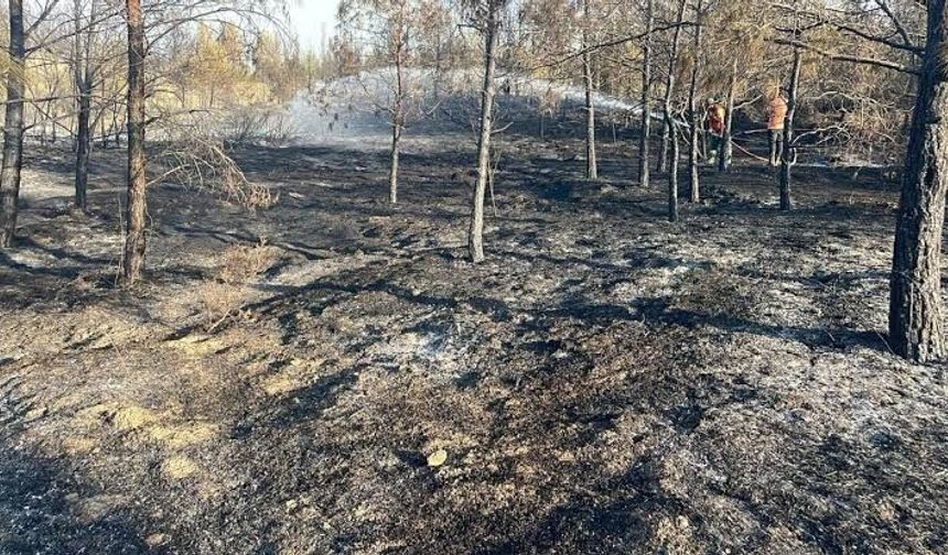 Ergenekon-Tirmen Anayolu’nda yangın: Bir kişi tutuklandı