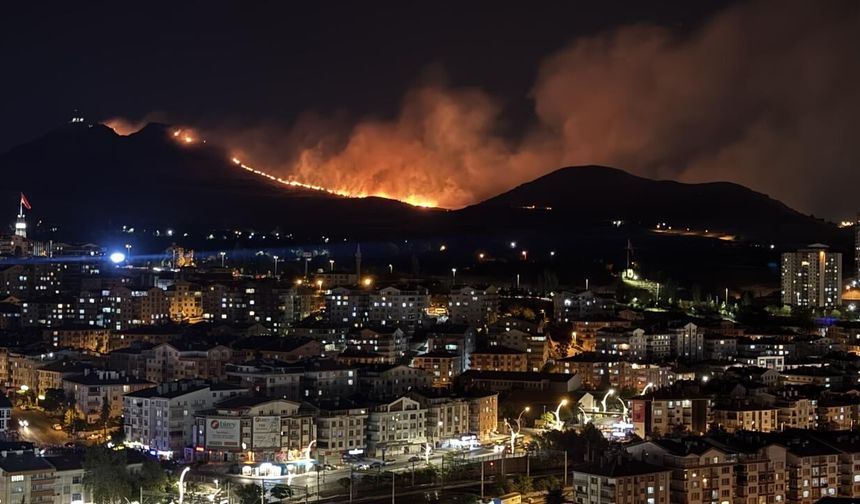 Ankara'da ağaçlık alanda çıkan yangına müdahale ediliyor