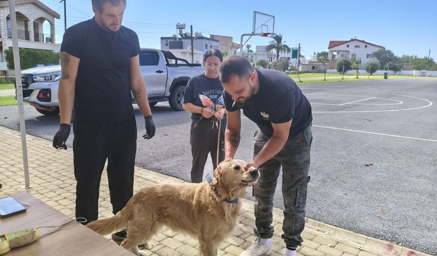 Mehmetçik’te mikroçip, kayıt ve ruhsatlandırma işlemleri başladı