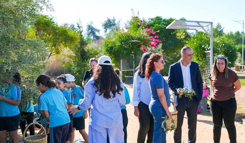 Öğrenciler, LTB Kızılbaş Parkı’nda zeytin hasadı yaptı