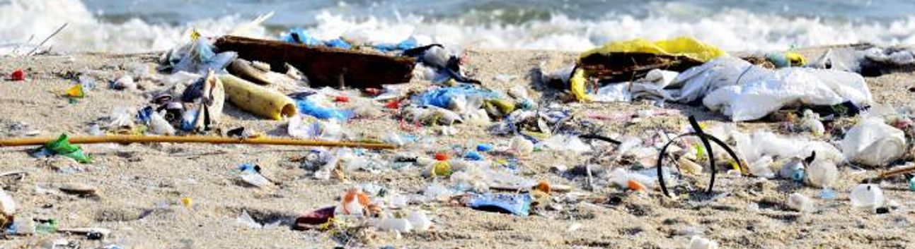 Deniz Miralay: Veriler güvenilir değilse plajların temizliği tartışmalıdır